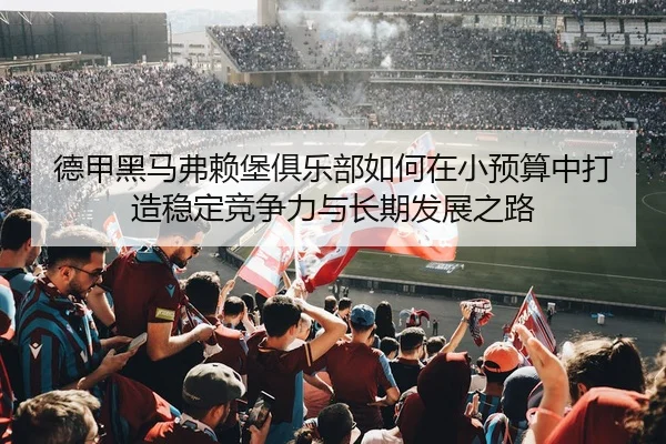 德甲黑马弗赖堡俱乐部如何在小预算中打造稳定竞争力与长期发展之路