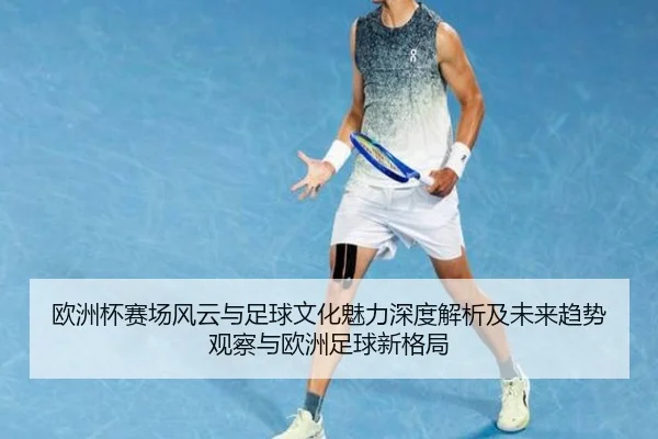 欧洲杯赛场风云与足球文化魅力深度解析及未来趋势观察与欧洲足球新格局